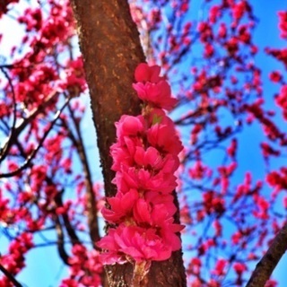 写真を撮るのが好きな方いませんか？☆