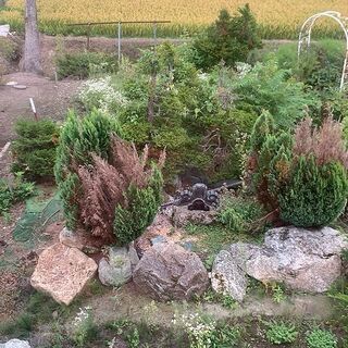 庭石　撤去もしくは庭の端に移動して下さる方　
