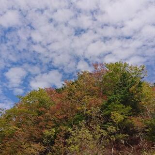 カメラ始めたのですが一緒に撮りに行きませんか？