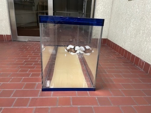 大型水槽　アクリル
