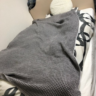 Francfranc セミダブルベッド 引取搬送可能な方限定