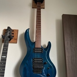 Edwards ホライゾン型ギター