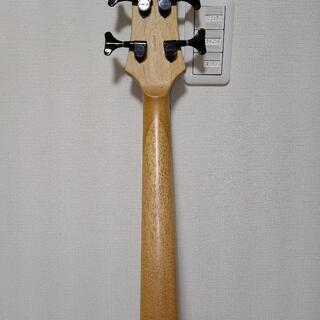 【決まりました】SCHECTER DIAMOND SERIES EXTREME-4の画像