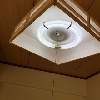 きれいです和室電気　
