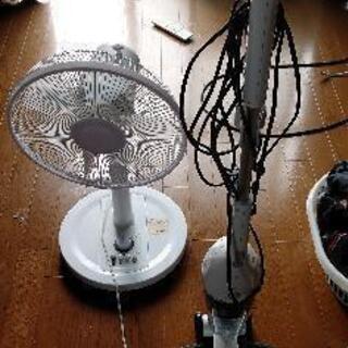 処分します。昨日の方がキャンセルの為です。