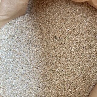 【１１】玄米　３０ｋｇ　新米（２０２１年収穫）売ります。