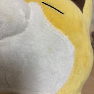 タヌキとキツネ　〜楽しい夏休み〜　一番くじ　A賞B賞セット（タヌキ未開封、キツネ若干汚れあり）の画像