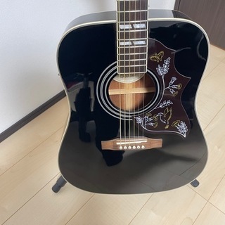 Hummingbird PRO (Ebony)の画像