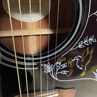 Hummingbird PRO (Ebony)の画像