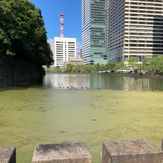 お散歩仲間募集　平日休みの方歓迎😊