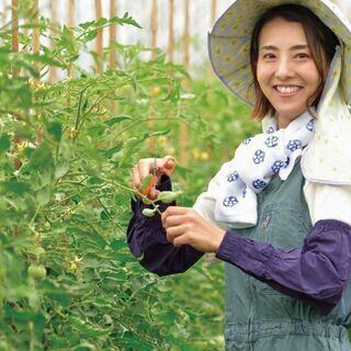 伸びすぎた木や草刈り等、承ります！　スピード対応！