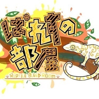 爬虫類好き集まれ - 唐津市