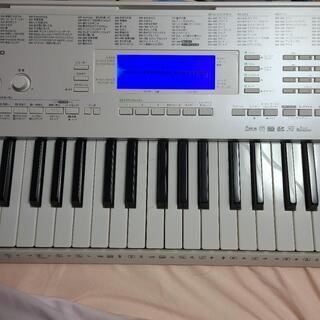 CASIO 電子ピアノ キーボード (募集中)