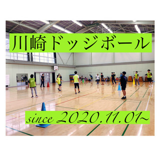 🍁11月日程追加🍁ドッジボールメンバー募集‼️未経験＆女性＆初参...