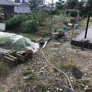 🌸[入居者さん決まりました]写真②　DIYフリー戸建て５ＤＫ賃貸...