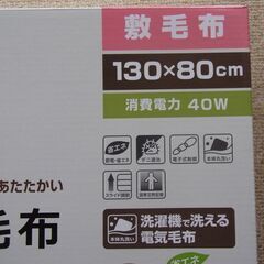 [取引完了]電気敷毛布の画像