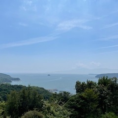 玉ねぎ、ジャガイモなどの画像