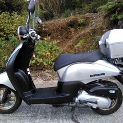 ホンダ　トゥデイ　50cc 　実動！！　4サイクル！！　AF67