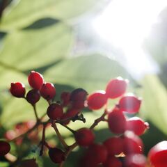 写真撮ります！