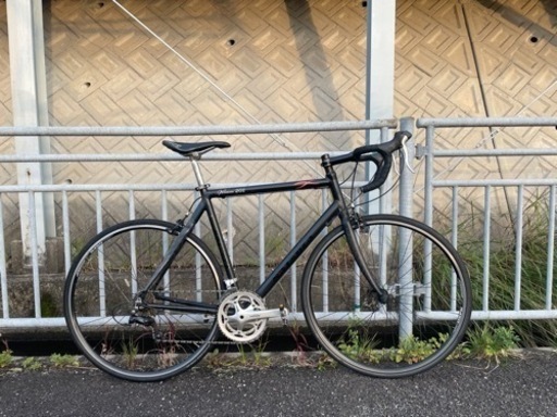 Antares アンタレス　サイズ53 値下げ