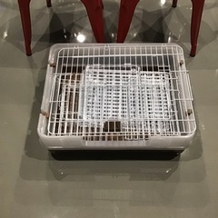 ミニウサギ ゲージ