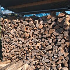 木葉 Santa Cruz x Godzilla Knox Firepit 8.5