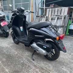 神奈川県 ホンダ TODAY F AF67 女性ワンオーナー車の画像