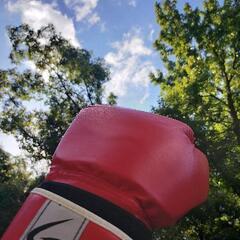 初心者向けボクシング🥊エクササイズ⭐✨大阪城🏯