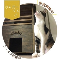 ‪·͜· ❤︎‬何かと頼りにされるサンダー君‪·͜· ❤︎‬