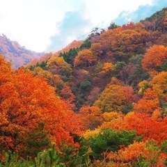 一緒にハイキングしませんか❓⛰✨