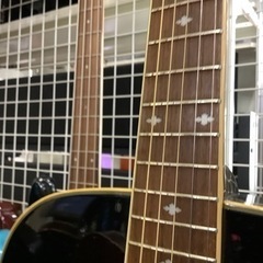 【Fender】DG-16 フェンダー アコースティックギター！の画像