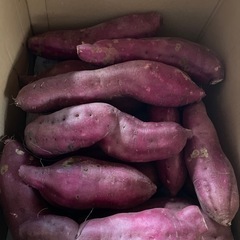 【訳あり品】さつまいも(紅あずま)10kg