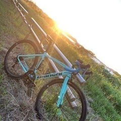 Bianchiベルガモ