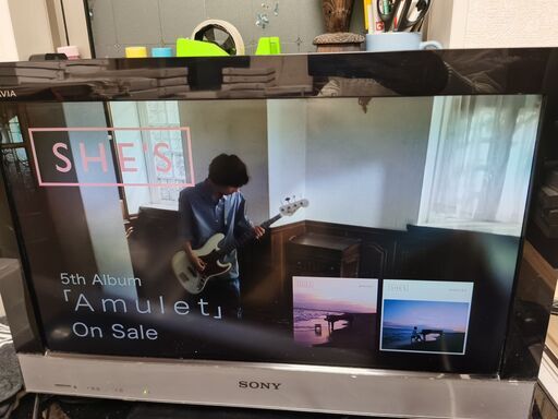 ソニー 22V型 液晶 テレビ ブラビア KDL-22EX300 ハイビジョン