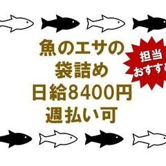 【週払い】短期OK★魚のエサの袋詰め【週3日からOK】