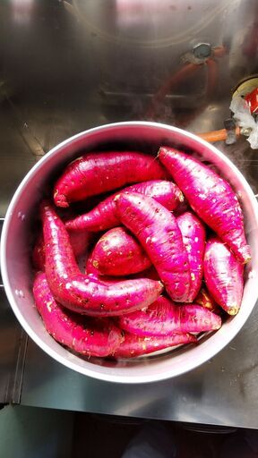 サツマイモ　　愛知県産　50ｋｇ　無農薬＋おまけつき