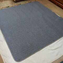 【販売終了しました。ありがとうございます。】【PRICE DOW...