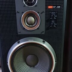 SONY スピーカー SS-G5 2台 骨董品？