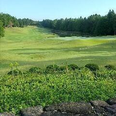 お庭や施設の芝生に繁殖する冬季雑草にお困りの皆様⛳☀️💦