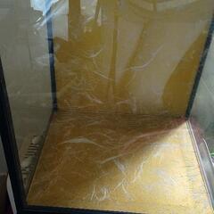 人形ケースの画像