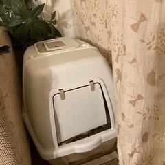 猫室内飼育グッズまとめてお譲りします。の画像