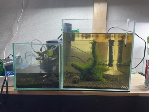 ADA 水槽セット　溶岩石　流木　引き取り限定