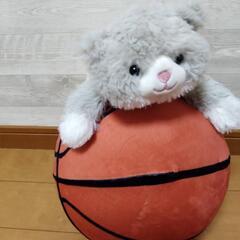 小学生バスケ教室開催