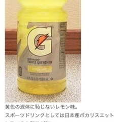 スポーツドリンクGATORADEゲータレード2ボトルにおまけ付の画像