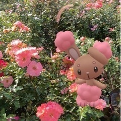 ポケGOARを撮りたい仲間募集🌸 − 東京都