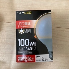 ランプ（間接照明）※引渡し決定済の画像