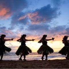 フラダンスメンバー募集  女性限定🌺
