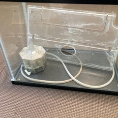 水槽　ぶくぶく付き