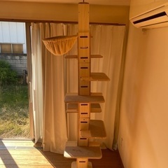 キャットタワーの画像