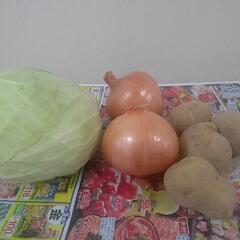 キャベツ、玉ねぎ、ジャガイモお譲りします。